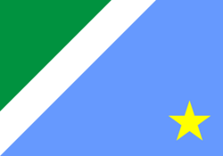 Flag of Mato Grosso do Soul